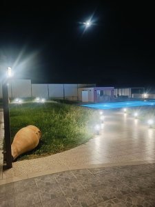 Η πισίνα της Villa Memories φωτισμένη το βράδυ με διακοσμητικό πιθάρι και φωτιστικά διαδρόμου στον κήπο