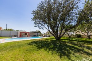 Ιδιωτικός κήπος της Villa Memories με μεγάλα δέντρα και σκιά κοντά στην πισίνα